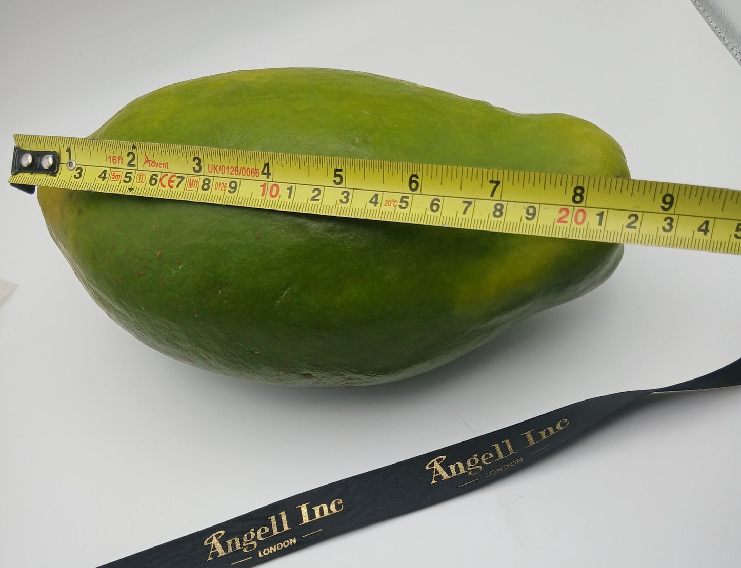 Grow Your Own Fresh X Large Papaya Fruit Tree Seeds Dwarf Plant Carica pawpaw