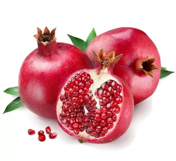 Grow Own Pomegranate Fruit Tree Seeds Punica Granatum UK Hardy Dwarf Bonsai Tree
