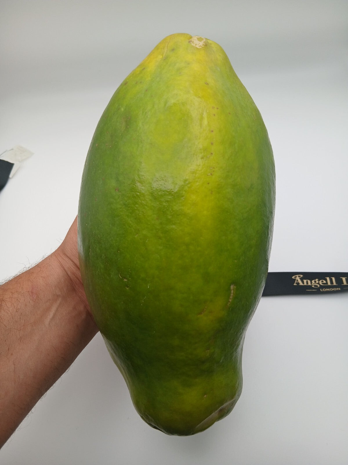 Grow Your Own Fresh X Large Papaya Fruit Tree Seeds Dwarf Plant Carica pawpaw