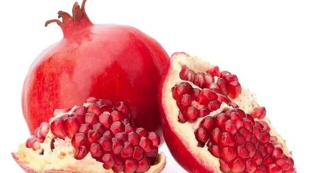 Grow Own Pomegranate Fruit Tree Seeds Punica Granatum UK Hardy Dwarf Bonsai Tree