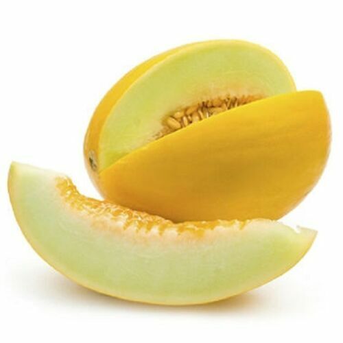 3 PACKS 3 TYPES MELON SEEDS HONEYDEW GALA CANTALOUPE FRUIT TREE PLANT GROW OWN