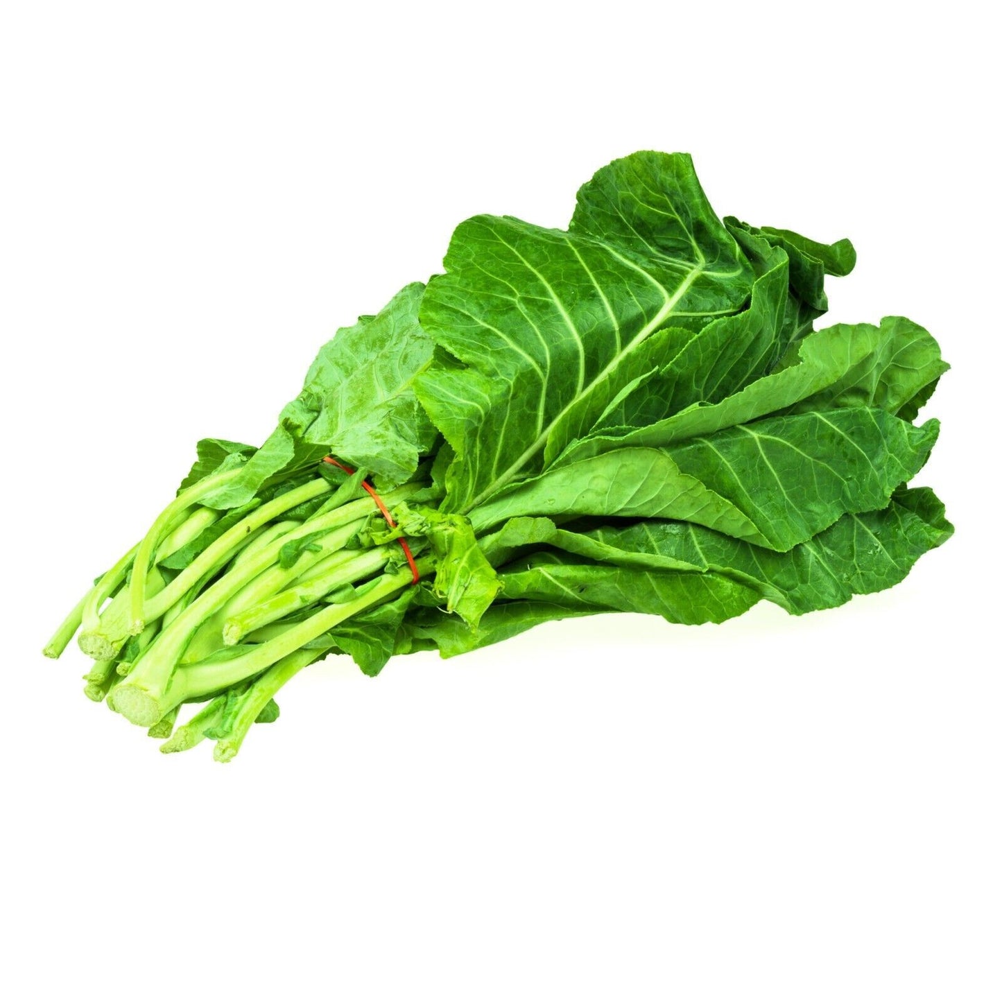 GROW OWN WALKING STICK KALE JERSEY SEEDS CABBAGE GIANT Portuguese tree EDIBLE