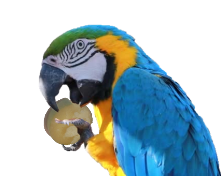 Sugar Cane Parrot Bird Pet Food Sweet Treat Toy Cockatoos Macaws African Grey UK
