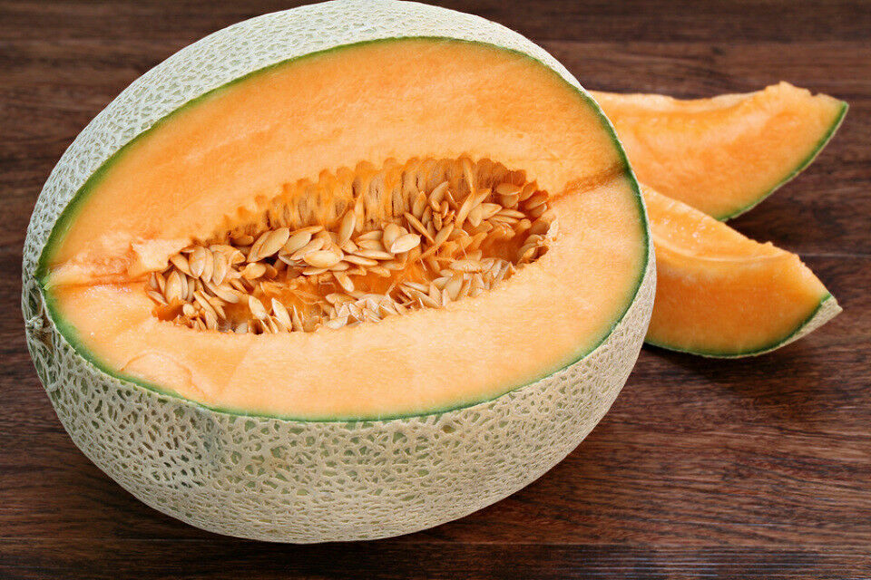 3 PACKS 3 TYPES MELON SEEDS HONEYDEW GALA CANTALOUPE FRUIT TREE PLANT GROW OWN