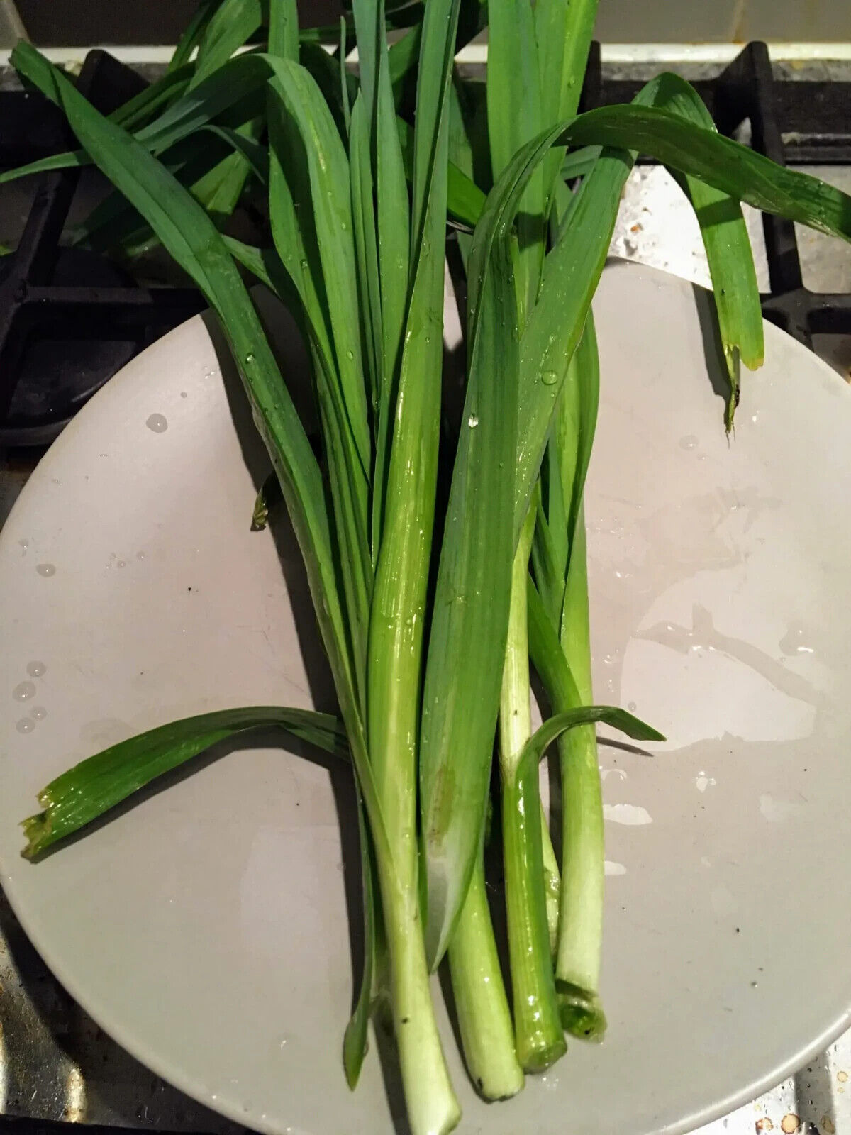 Easy To Grow Your Own Garlic Chive Herb Seeds Fresh Vegetables Fruit Herbs