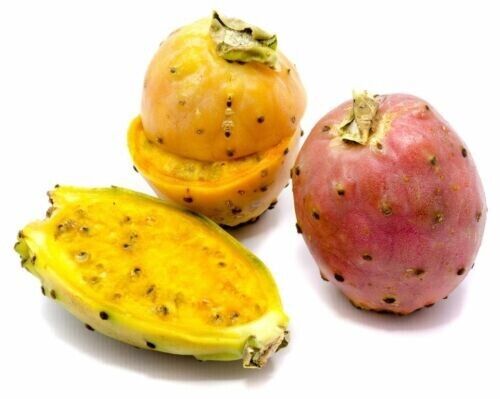 GROW YOUR OWN FRUIT Prickly Pear Cactus RARE SEEDS FIGS Cacti Edible opuntia