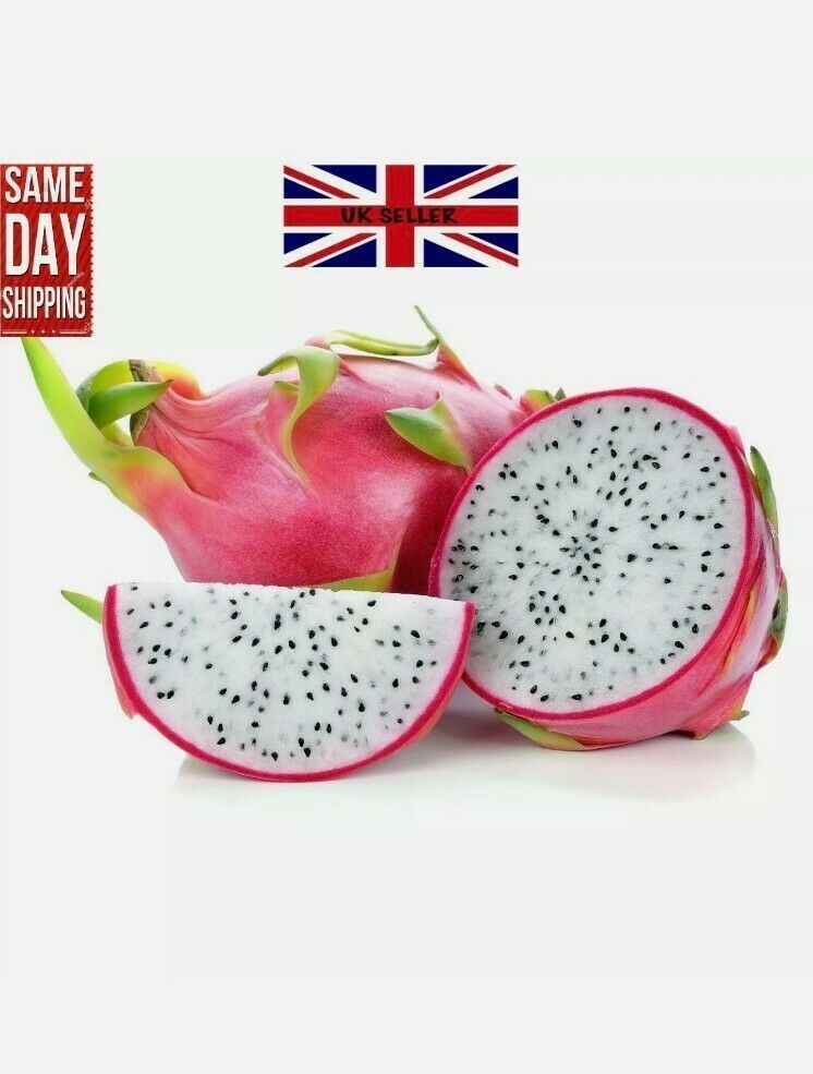 Dragon Fruit FRESH Seeds Pitaya EASY GROW YOUR OWN succulent Cactus Plant Tree