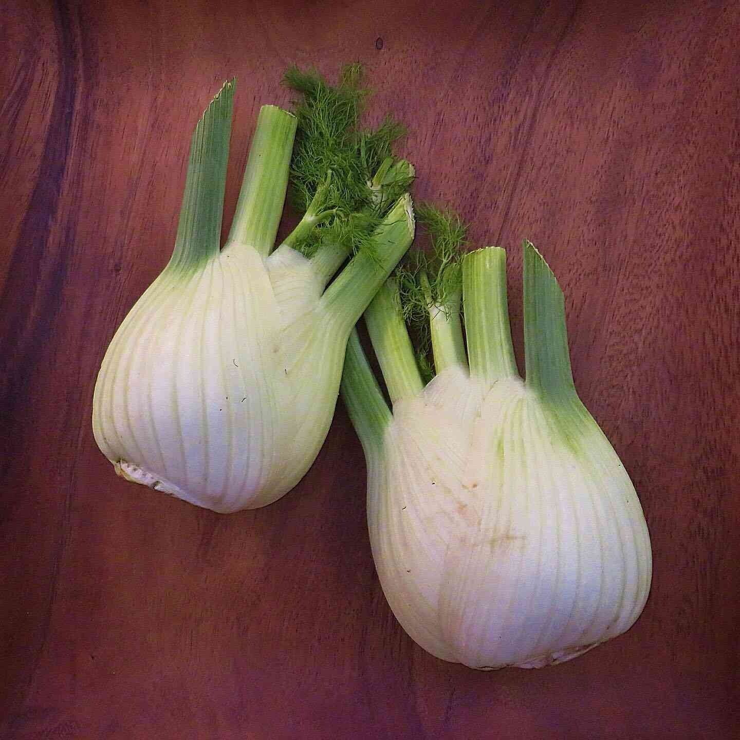 Easy To Grow Your Own SWEET FENNEL Seeds Florence Fresh Vegetables Fruit Herbs