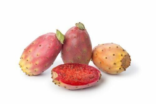 GROW YOUR OWN FRUIT Prickly Pear Cactus RARE SEEDS FIGS Cacti Edible opuntia