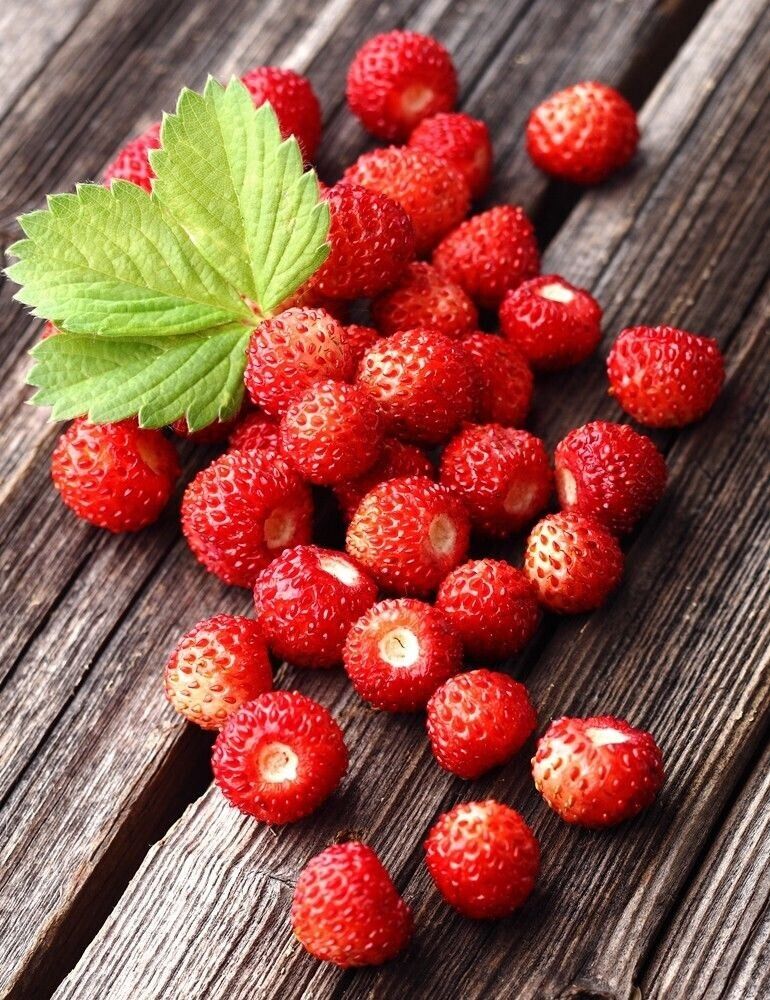 Easy Grow Own Super Sweet STRAWBERRY Seeds Alpine Strawberries Fruit Plant