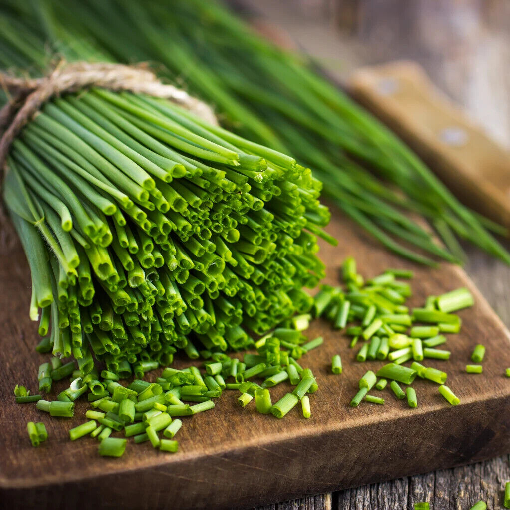 Easy To Grow Your Own Chive Herb Garden Seeds Fresh Vegetables Fruit Herbs