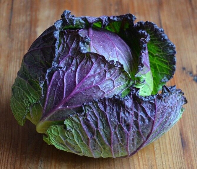 Easy To Grow Your Own King Cabbage Seeds Fresh Vegetables Fruit Herbs Plants