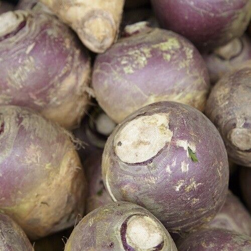 Vegetable Seeds Fresh Herbs Mixed Plants Easy Grow your Own Indoor Outdoor Fruit