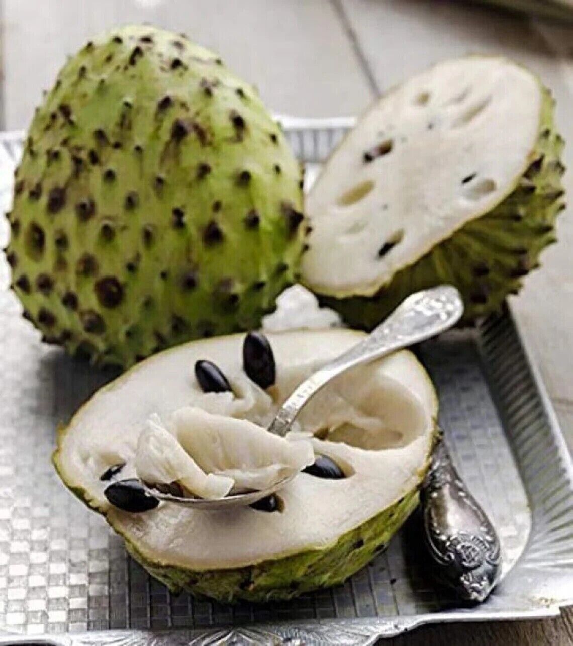 GROW OWN GUANABANA TREE CANCER REMEDY SOURSOP GRAVIOLA ANNAON MURICATA SEEDS