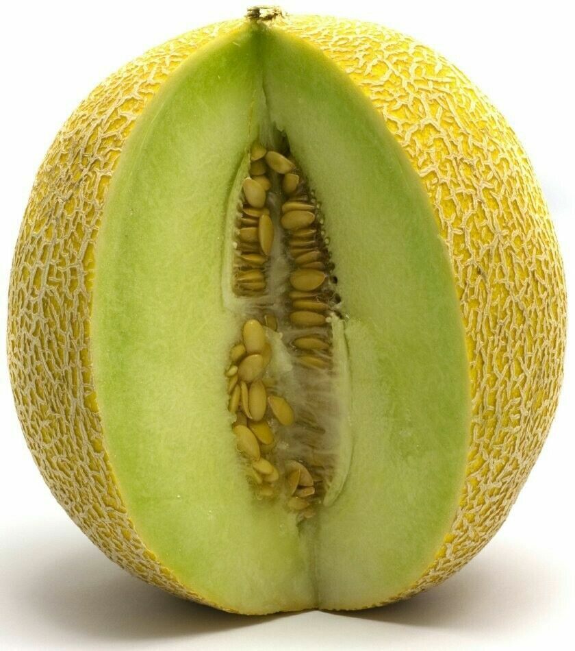 3 PACKS 3 TYPES MELON SEEDS HONEYDEW GALA CANTALOUPE FRUIT TREE PLANT GROW OWN
