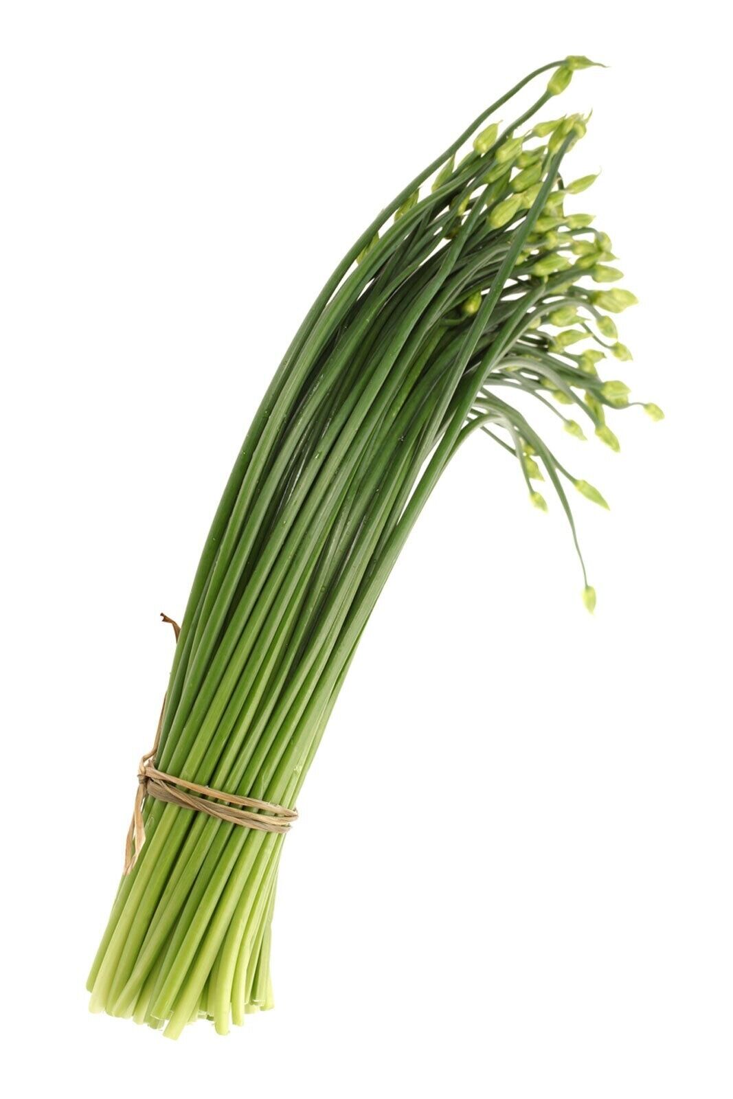 Easy To Grow Your Own Garlic Chive Herb Seeds Fresh Vegetables Fruit Herbs