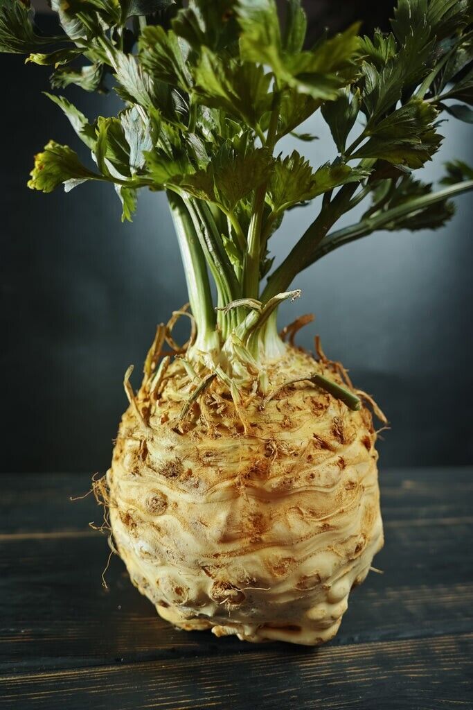 Easy To Grow Your Own GIANT Celeriac Prague Seeds Celery Fresh Vegetables Fruit