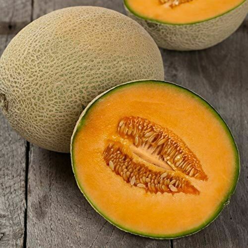 3 PACKS 3 TYPES MELON SEEDS HONEYDEW GALA CANTALOUPE FRUIT TREE PLANT GROW OWN