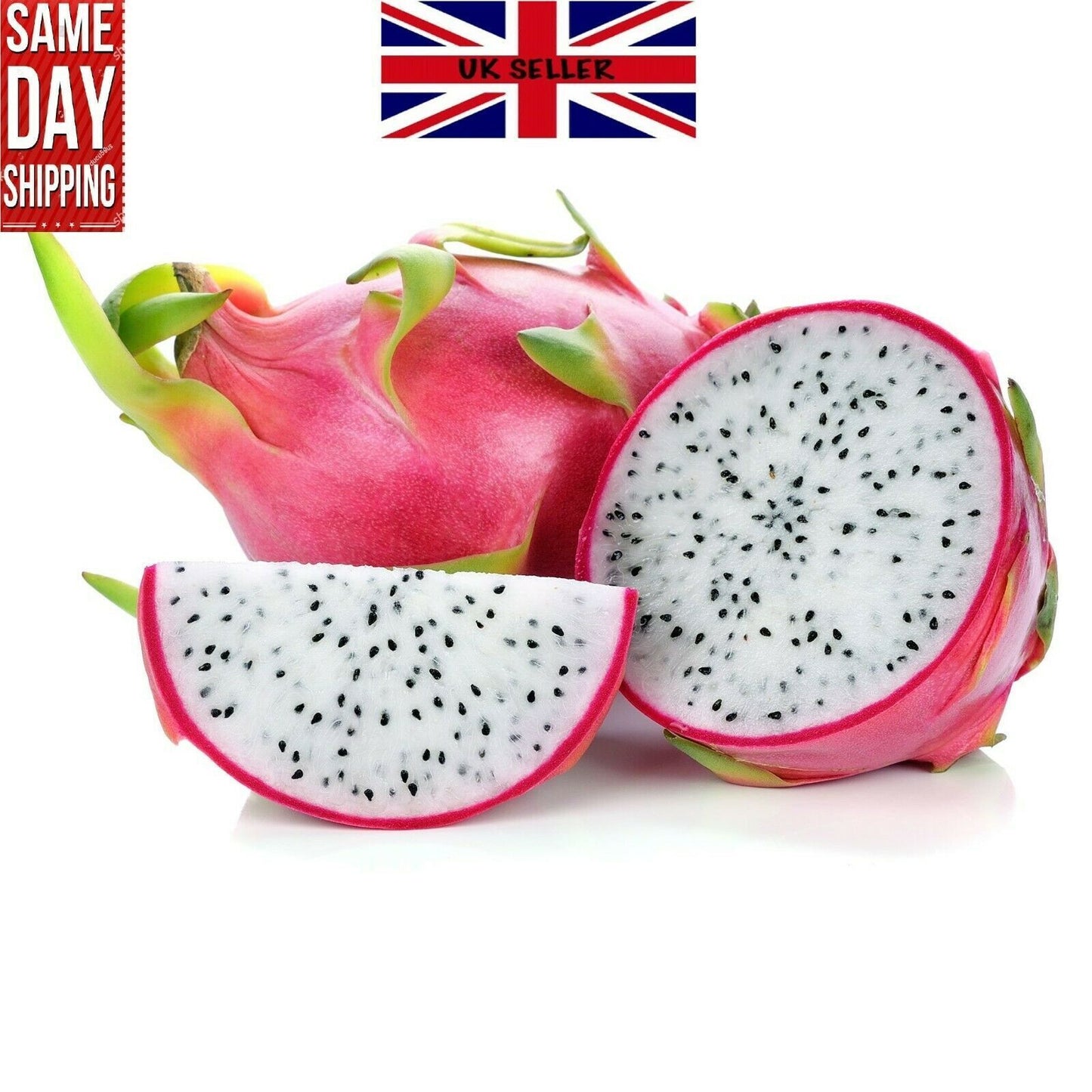 Dragon Fruit FRESH Seeds Pitaya EASY GROW YOUR OWN succulent Cactus Plant Tree
