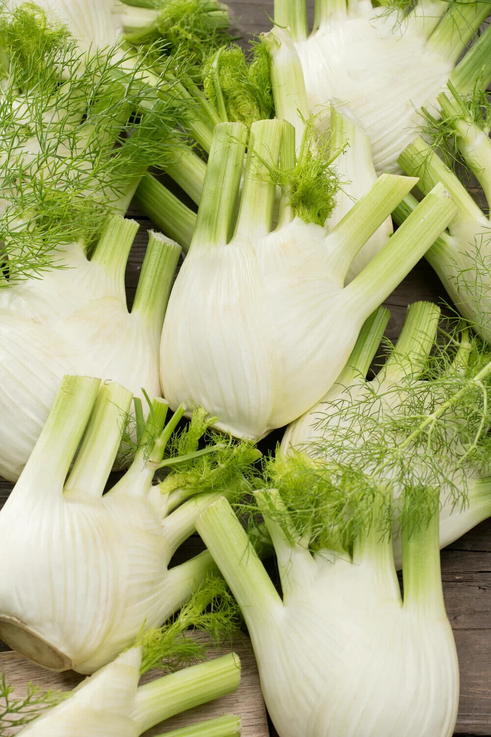 Easy To Grow Your Own SWEET FENNEL Seeds Florence Fresh Vegetables Fruit Herbs