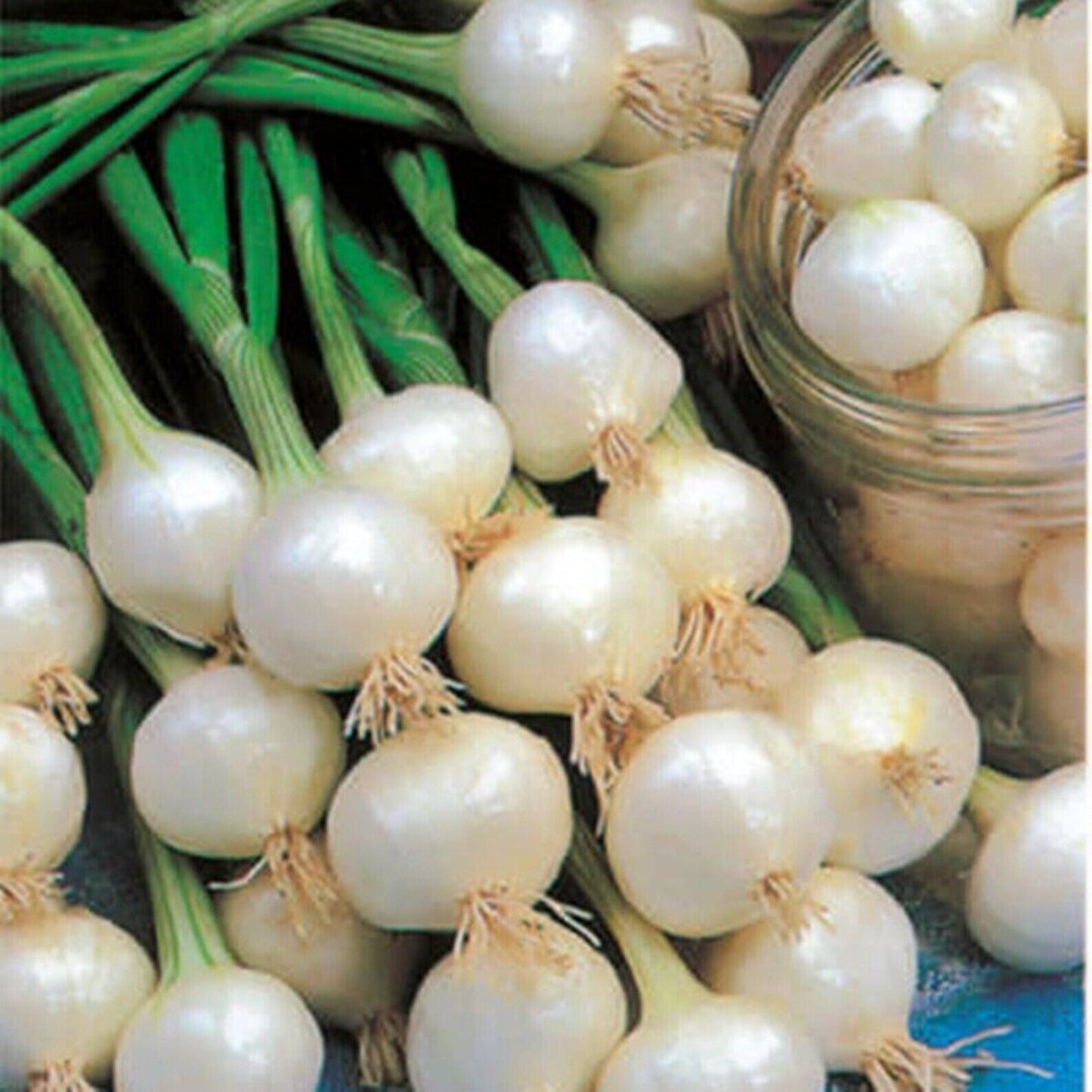 Vegetable Seeds Fresh Herbs Mixed Plants Easy Grow your Own Indoor Outdoor Fruit