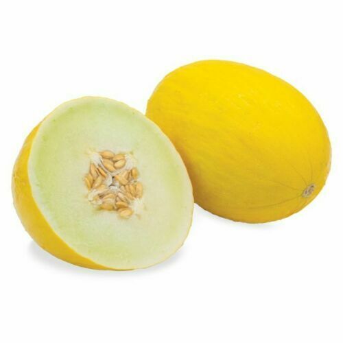 3 PACKS 3 TYPES MELON SEEDS HONEYDEW GALA CANTALOUPE FRUIT TREE PLANT GROW OWN