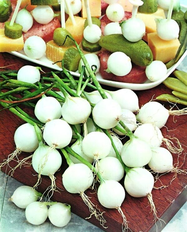 Easy To Grow Your Own Onion Paris Silver skin Seeds Fresh Vegetables Herbs