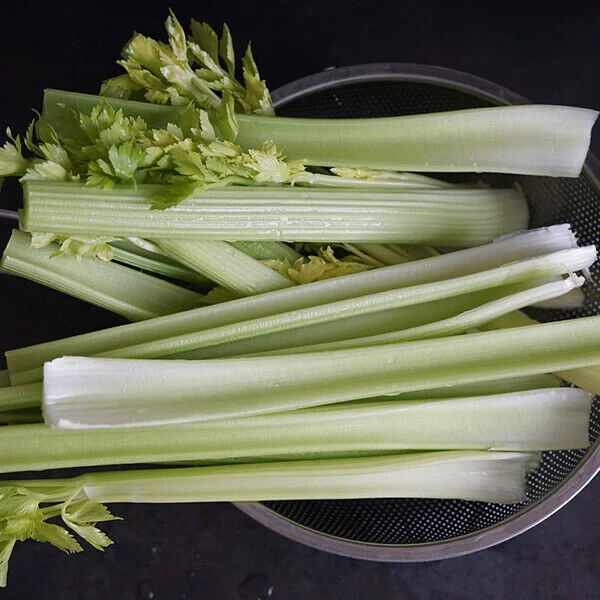 Easy To Grow Your Own Celery Celebrity Seeds Fresh Vegetables Fruit Herbs