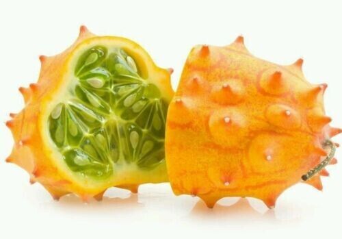 RARE AFRICAN HORNED CUCUMBER MELON KIWANO SEEDS TROPICAL FRUIT PLANT Cucumis