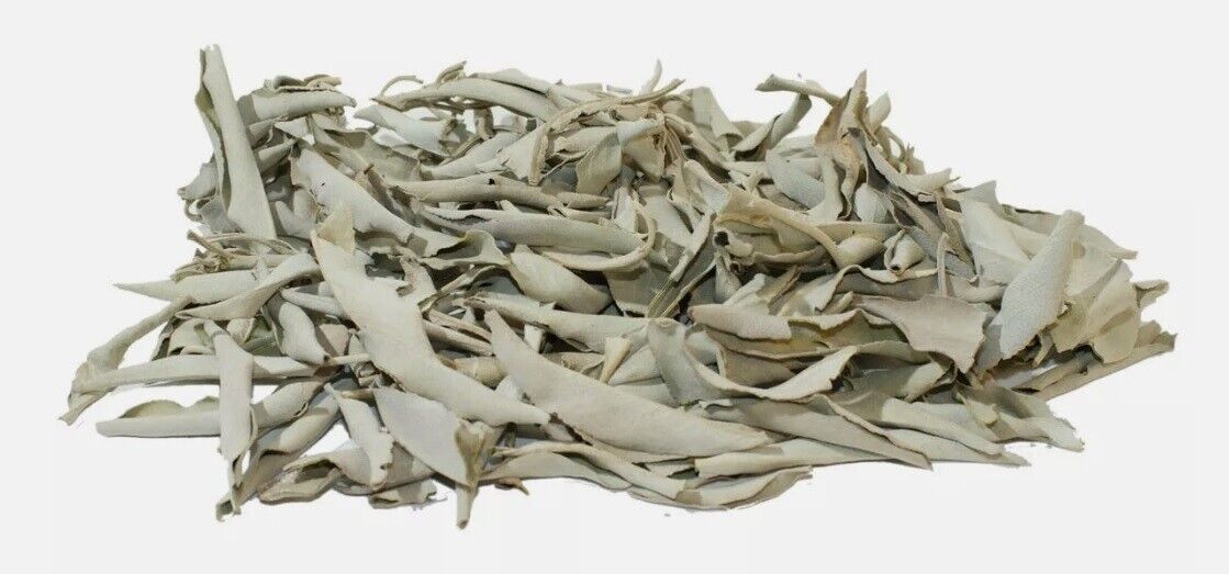 Grow your own White Sage SEEDS Plant Salvia apiana OR Loose White Sage Smudge