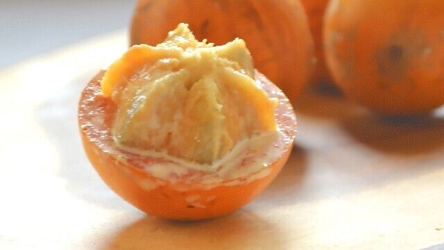 RARE SEEDS AFRICAN WHITE STAR APPLE CHERRY FRUIT TROPICAL TREE Chrysophyllum