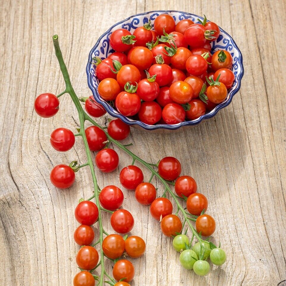 Easy Grow Your Own SWEET CHERRY TOMATO Seeds Cerise Fruit Plant Tree Vegetables