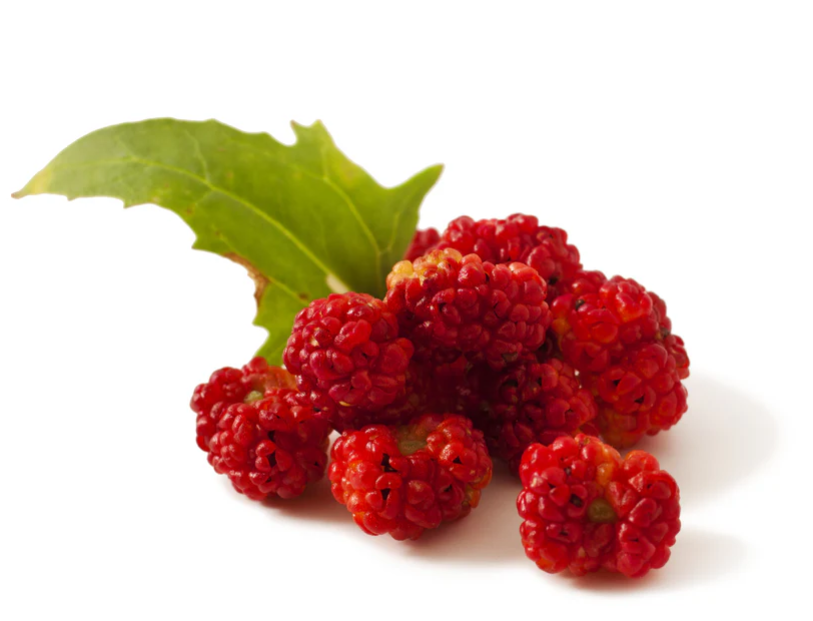STRAWBERRY SEEDS Sticks Spinach Goosefoot CHENOPODIUM CAPITATUM Fruit Herb Berry
