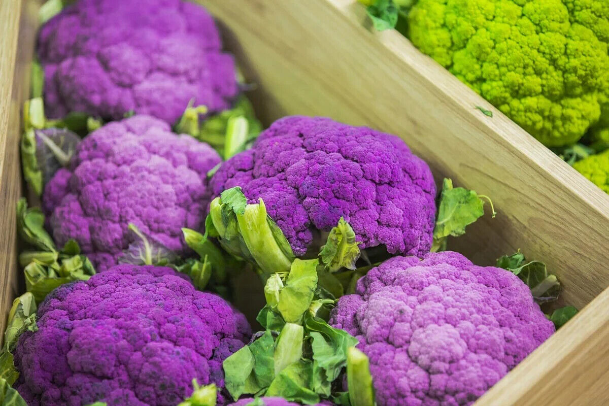 Easy To Grow Your Own Purple Broccoli Seeds Fresh Vegetables Fruit Herbs Plant
