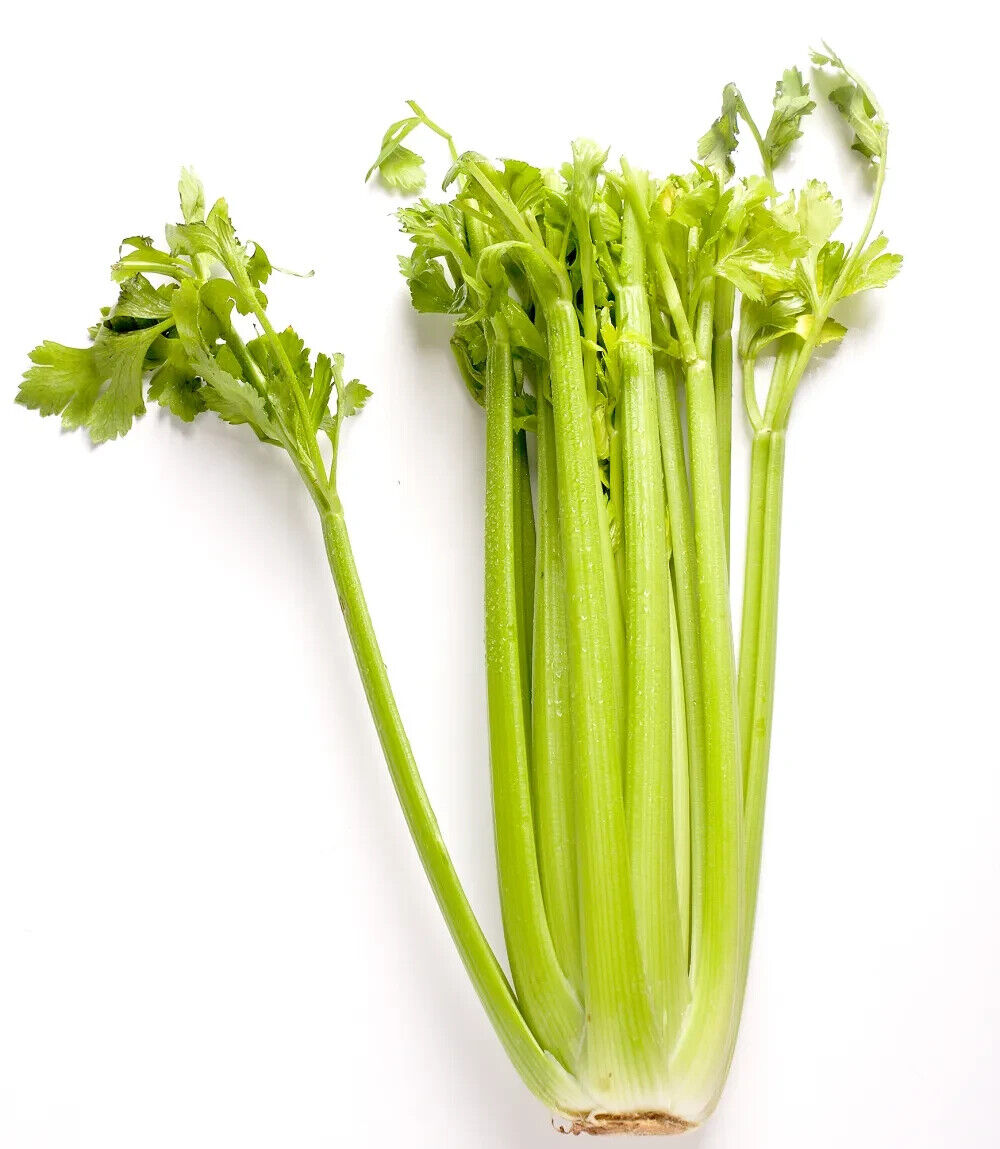Easy To Grow Your Own Celery Celebrity Seeds Fresh Vegetables Fruit Herbs