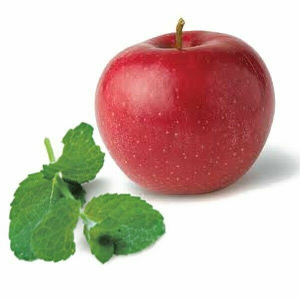 MINT SEEDS RARE pick mix PINEAPPLE ORANGE CHOCOLATE APPLE LEMON Herbs plant