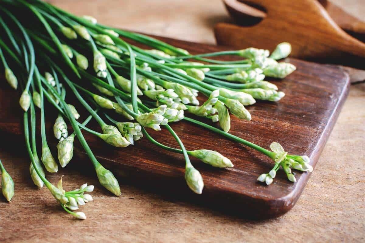 Easy To Grow Your Own Garlic Chive Herb Seeds Fresh Vegetables Fruit Herbs