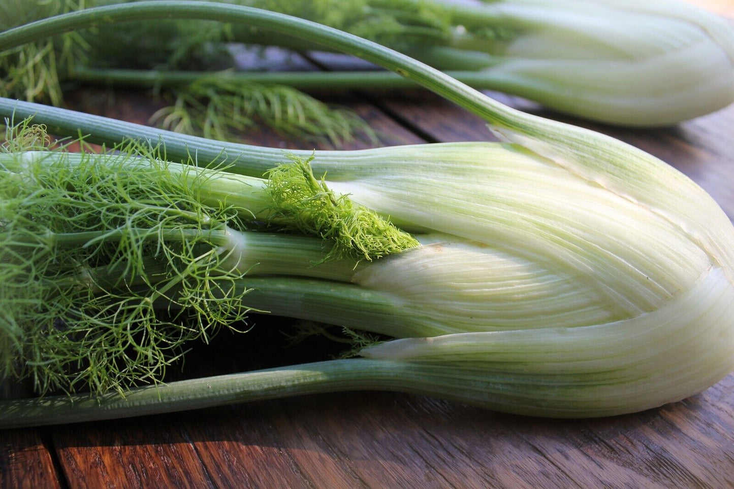 Easy To Grow Your Own SWEET FENNEL Seeds Florence Fresh Vegetables Fruit Herbs