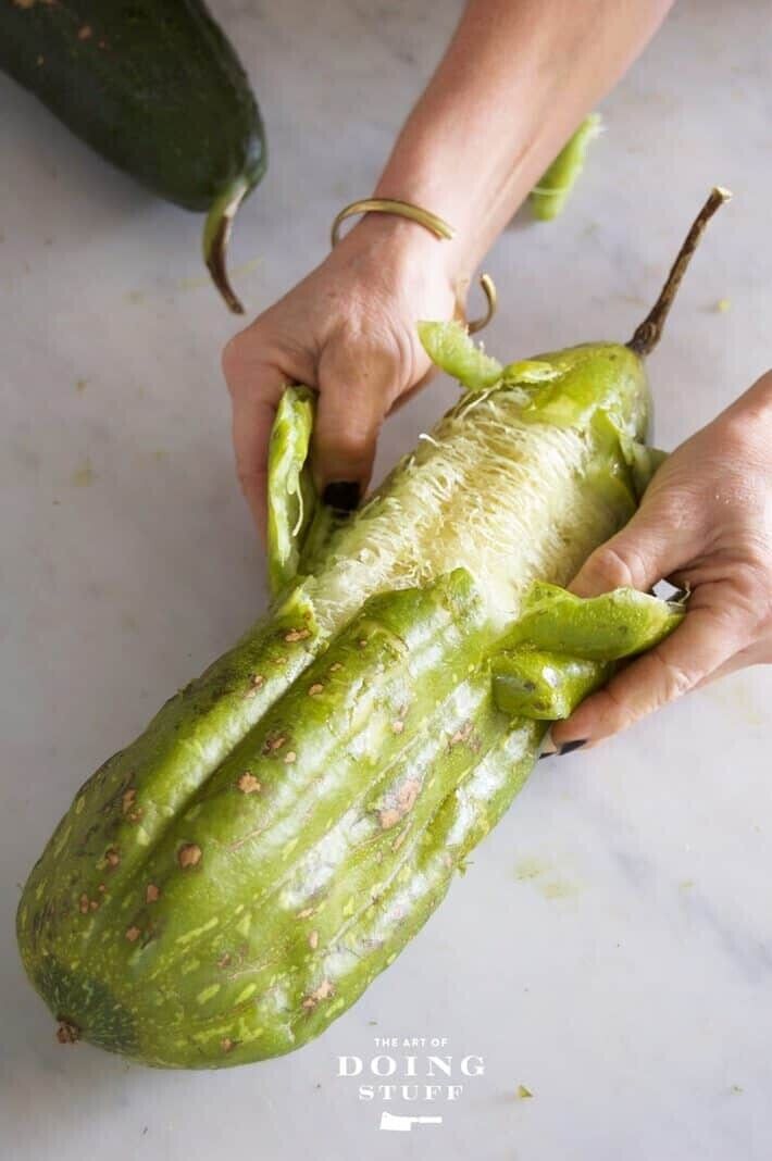 Easy To Grow Your Own natural LUFFA sponge Seeds LOOFAH Fresh Vegetables Fruit