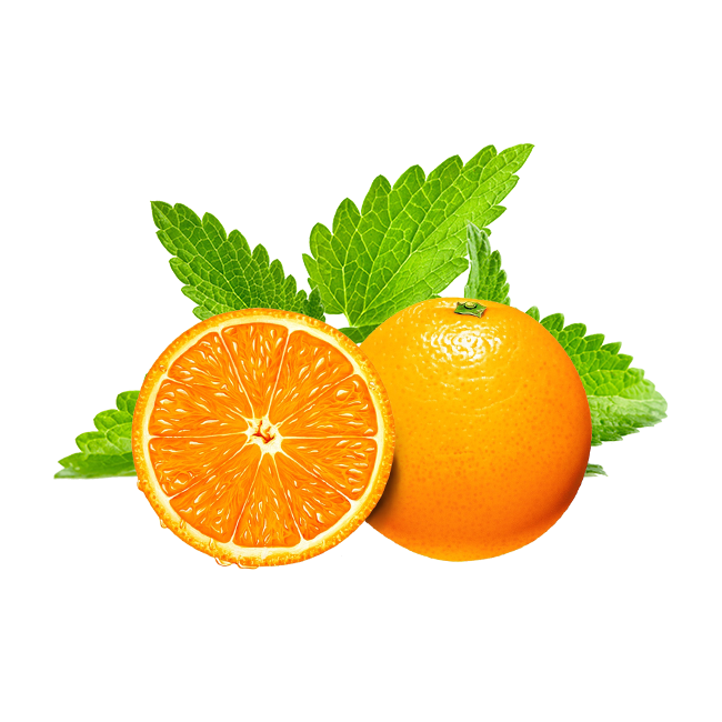 MINT SEEDS RARE pick mix PINEAPPLE ORANGE CHOCOLATE APPLE LEMON Herbs plant