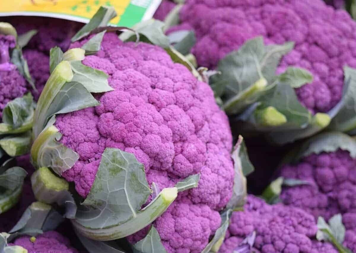 Easy To Grow Your Own Purple Broccoli Seeds Fresh Vegetables Fruit Herbs Plant