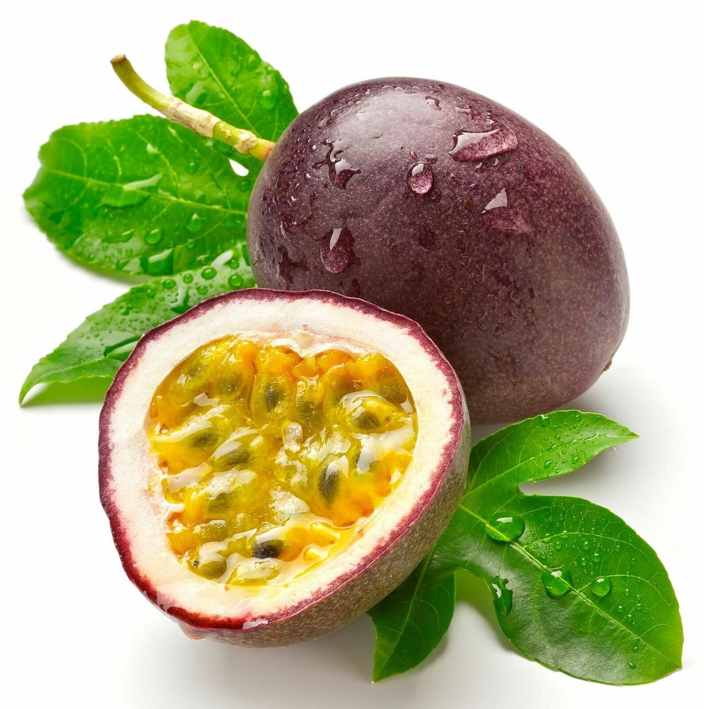 Passiflora Quadrangularis Passion Fruit Seeds Giant Granadilla Flower Vine Plant