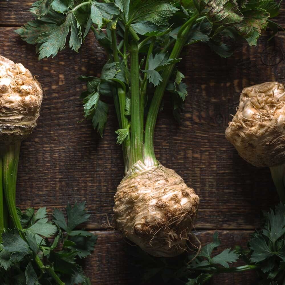 Easy To Grow Your Own GIANT Celeriac Prague Seeds Celery Fresh Vegetables Fruit