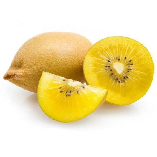 Rare GROW OWN Golden KIWI SEEDS FRUIT TREE VINE PLANT FRESH Actinidia Chinensis