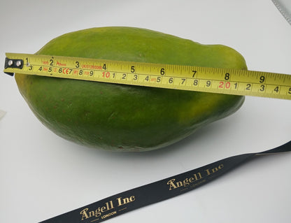 Grow Your Own Fresh X Large Papaya Fruit Tree Seeds Dwarf Plant Carica pawpaw