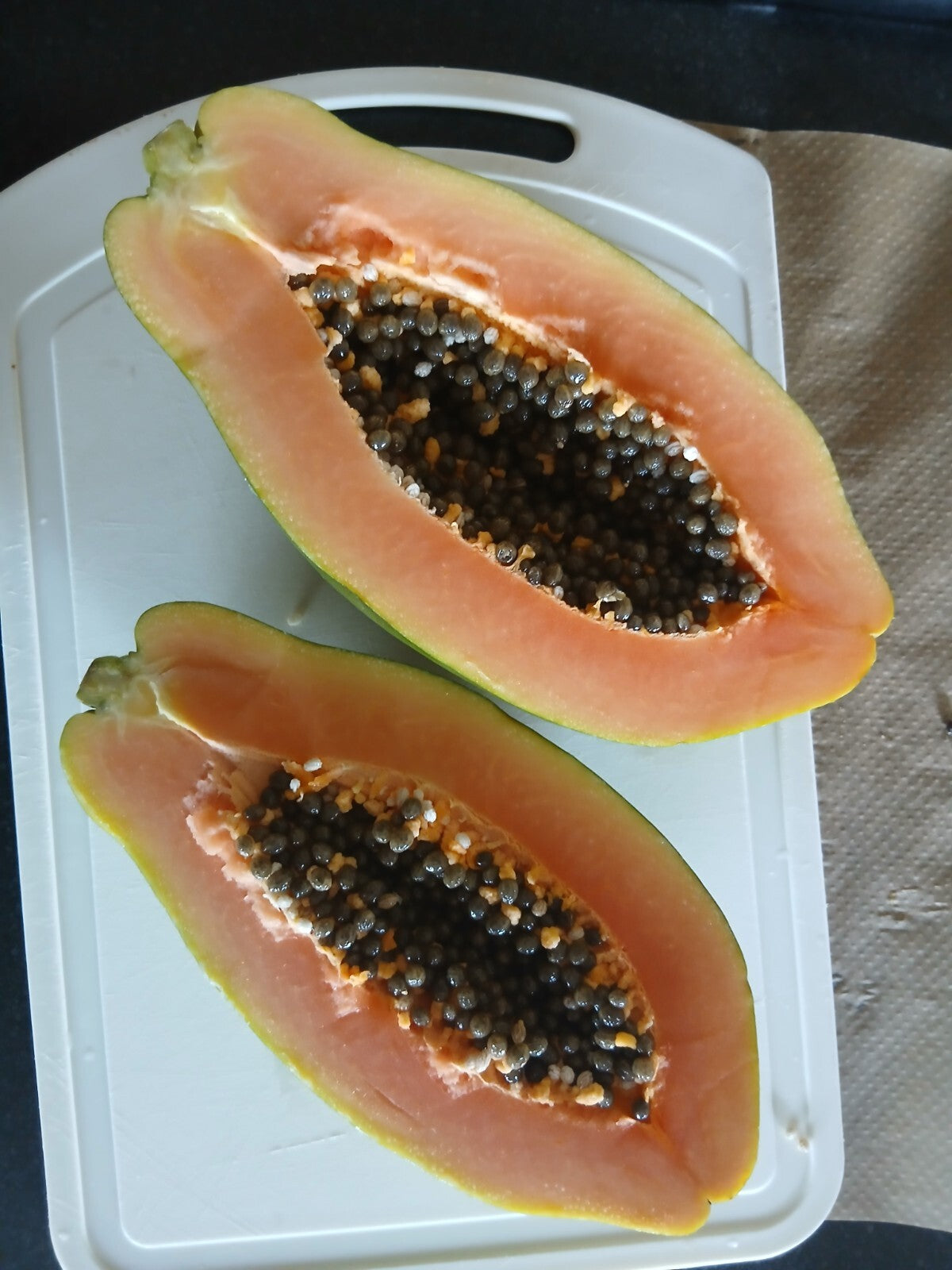 Grow Your Own Fresh X Large Papaya Fruit Tree Seeds Dwarf Plant Carica pawpaw