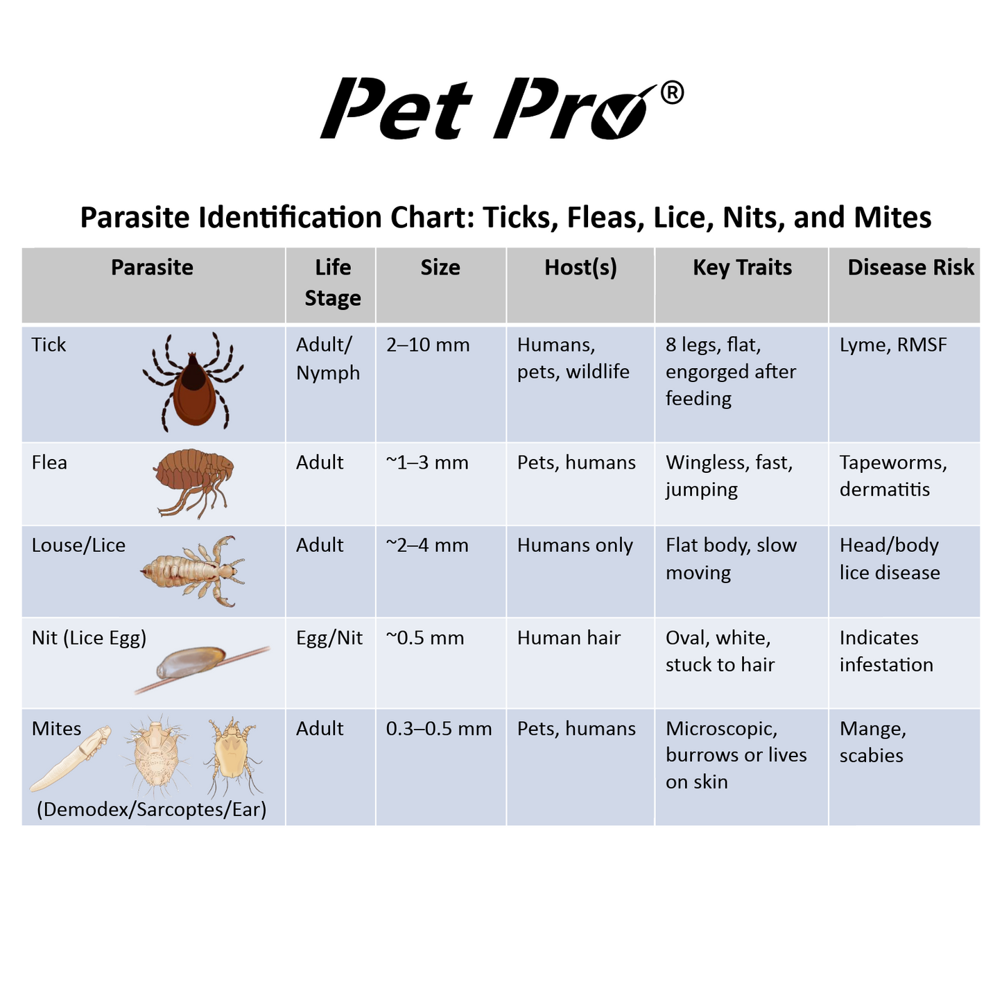 Flea Comb for Dogs Cats, Dog Hair Comb Grooming Tool for Removing Tear Stains, Fleas, Dandruff, Lice