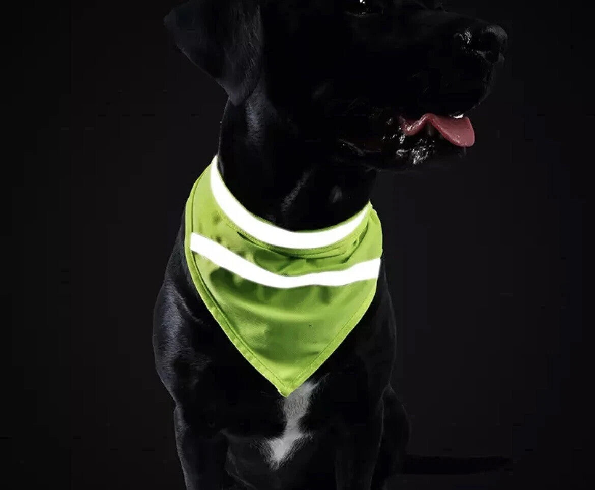 Personalised Dog Bandana Hi Viz Name Reflective Safety Bib Collar Neck Scarf M