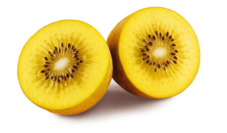 Rare GROW OWN Golden KIWI SEEDS FRUIT TREE VINE PLANT FRESH Actinidia Chinensis