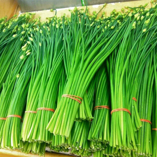 Easy To Grow Your Own Garlic Chive Herb Seeds Fresh Vegetables Fruit Herbs